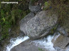 -王顺山国家森林公园