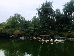 -山东大厦