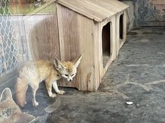 -上海野生动物园