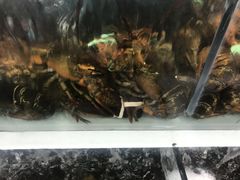 龙虾生龙活虎-盒马鲜生(大成店)