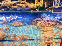 -驻海渔市(置信店)