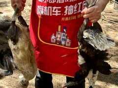-坛南湾阿强农家乐.海鲜大排档老字号(福州地标美食店)