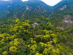 -北京上方山国家森林公园