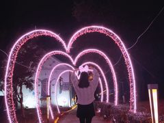 -大塘金香草谷