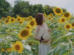 -光明小镇欢乐田园