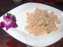 清炒河虾仁-花园茶楼(兴城西路店)