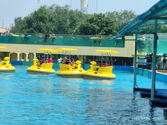 -秦皇岛乐岛海洋王国