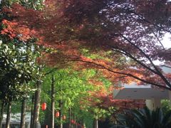 iphone_upload_pic-上海怡沁园度假酒店