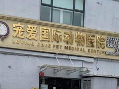 -宠爱国际动物医院·疑难骨科·心肾内科·皮肤科(太阳宫店)