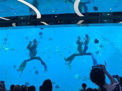 -瑞德姆美人鱼海底演艺主题餐厅(亚龙湾店)