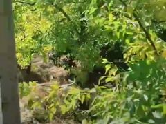 -万源龙顺度假庄园生态观光园