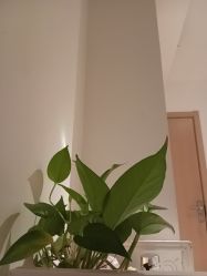 点击看大图 -Dr.林醫生产后修复·配方产康店(南京大厂店)