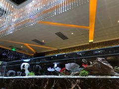 -红辣椒·川菜·火锅(大洋中心店)