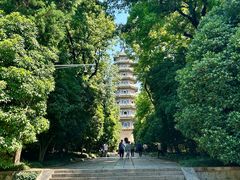 -灵谷景区
