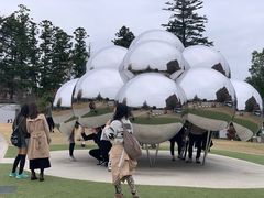 -金泽21世纪美术馆