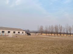 -北京群众马术培训基地