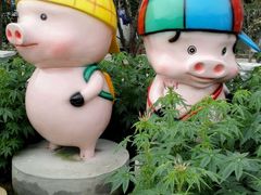 -广州花之恋城堡酒店