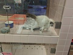 -FAELING PETS美天灵宠物(富力广场店)