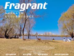 -长白岛森林公园