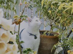 -三仟津花园咖啡馆