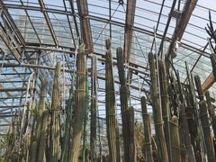 -南山植物园