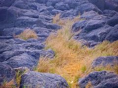 -硇洲岛旅游区