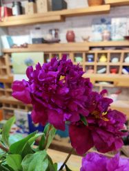 -今日陶艺(富力广场店)