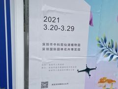 -深圳仙湖植物园-停车场