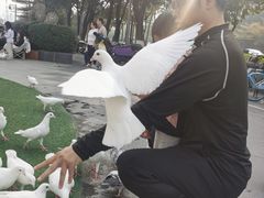 -IPARK购物中心