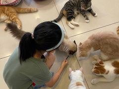 -平行世界·猫咖(首经贸店)