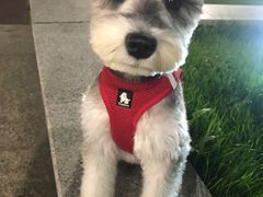 -PETKIT小佩宠物(昭化店)