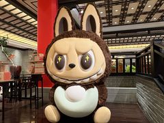 -龙悦湾酒家·八阵鱼生·渔人码头店