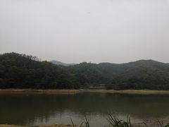 -火炉山森林公园
