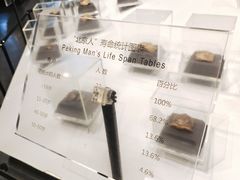-北京周口店北京人遗址博物馆