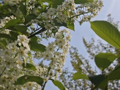 -陕西省西安植物园