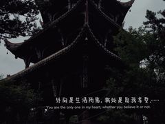 -望江楼公园