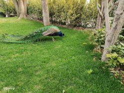 -金庭庄园酒店彩虹厅