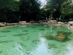 -青岛鑫江温德姆酒店