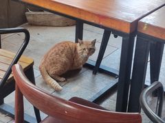 -鱼乐岛餐厅·户外花园主题餐厅