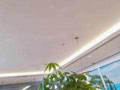 -杯子红牛排(南庄吉利广场店)