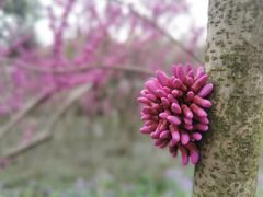 -玄武湖景区-情侣园游乐场