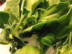 -陶然居·重庆菜(鱼洞老街店)