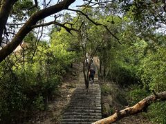 -凤岗南门山森林公园