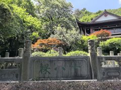 -十八棵（老龙井）御茶园(老龙井店)
