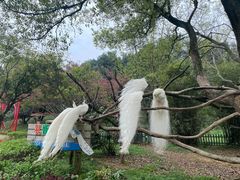 -宁波野生动物园