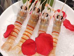-渔乐之昕·铁板烧自助餐(虹悦城店)