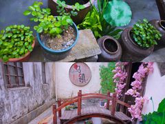 -乌镇景区