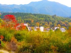 -塔川景区