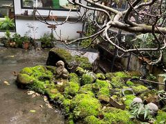 -植觉