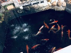 景观位-阿多私房菜(顺德店)